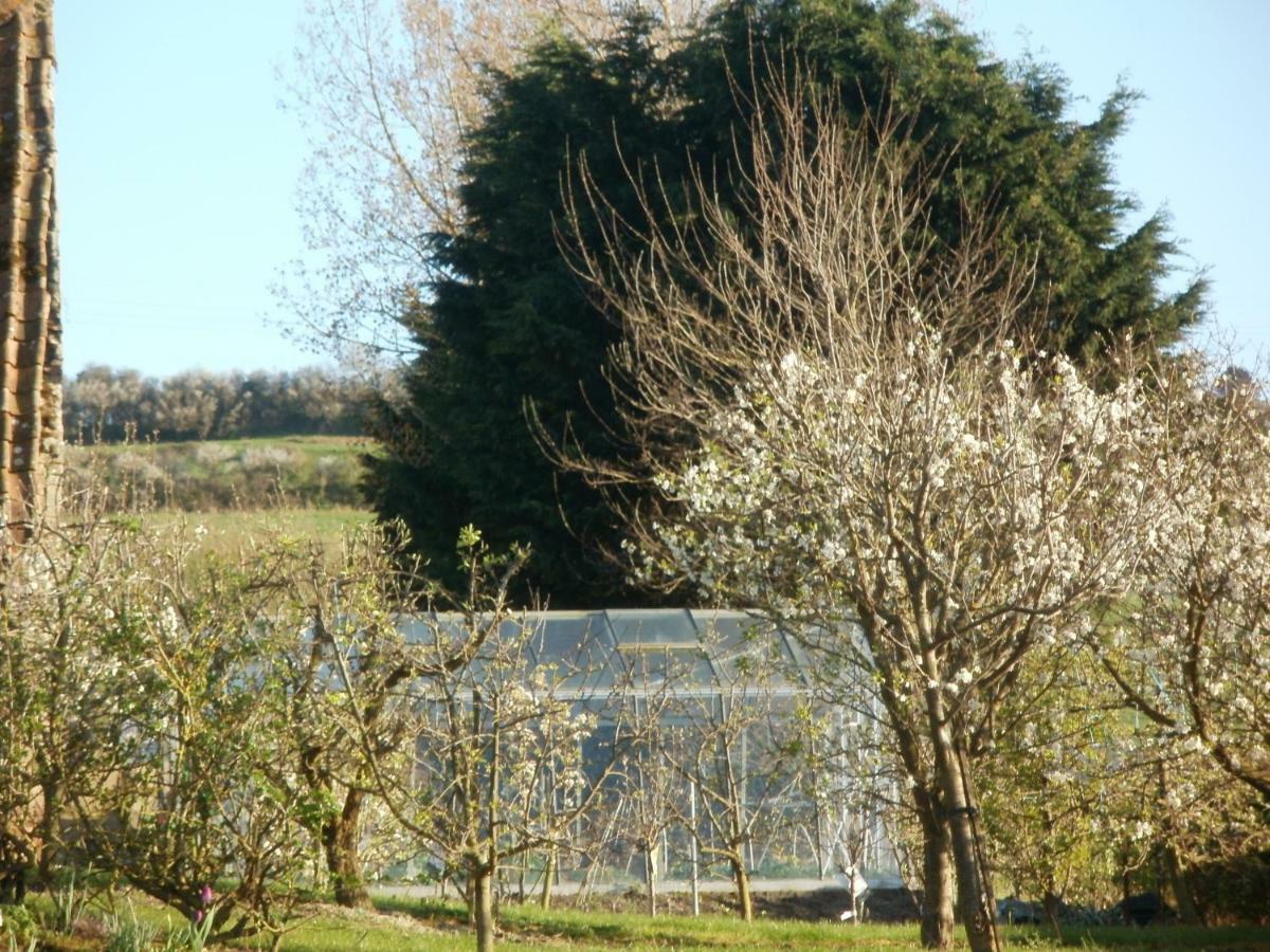 la ferme fleurie Villa Echinghen Exterior foto